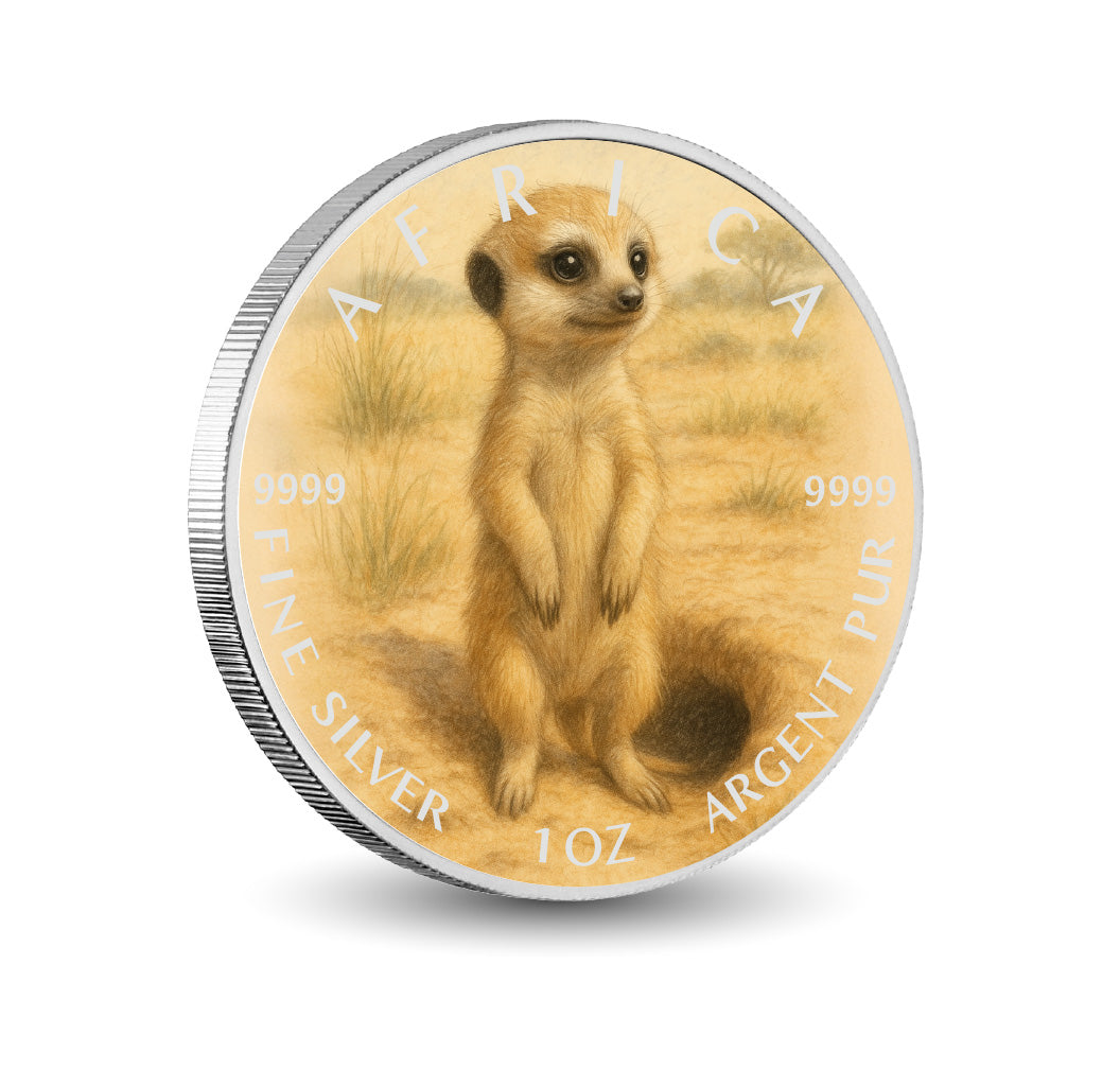 Pièce de monnaie de 1 oz en argent fin coloré « Sentinelle du désert : le suricate curieux d’Afrique »