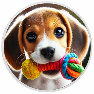 0b63ab0349f711ef51099b3ef4e5d21d