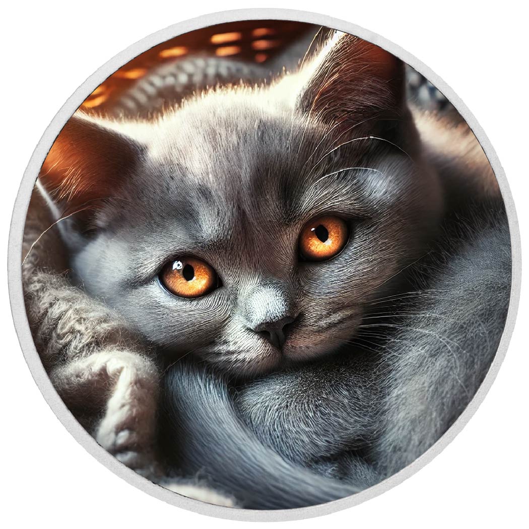 Ember Eyes: The Feline Flame 1oz Coin