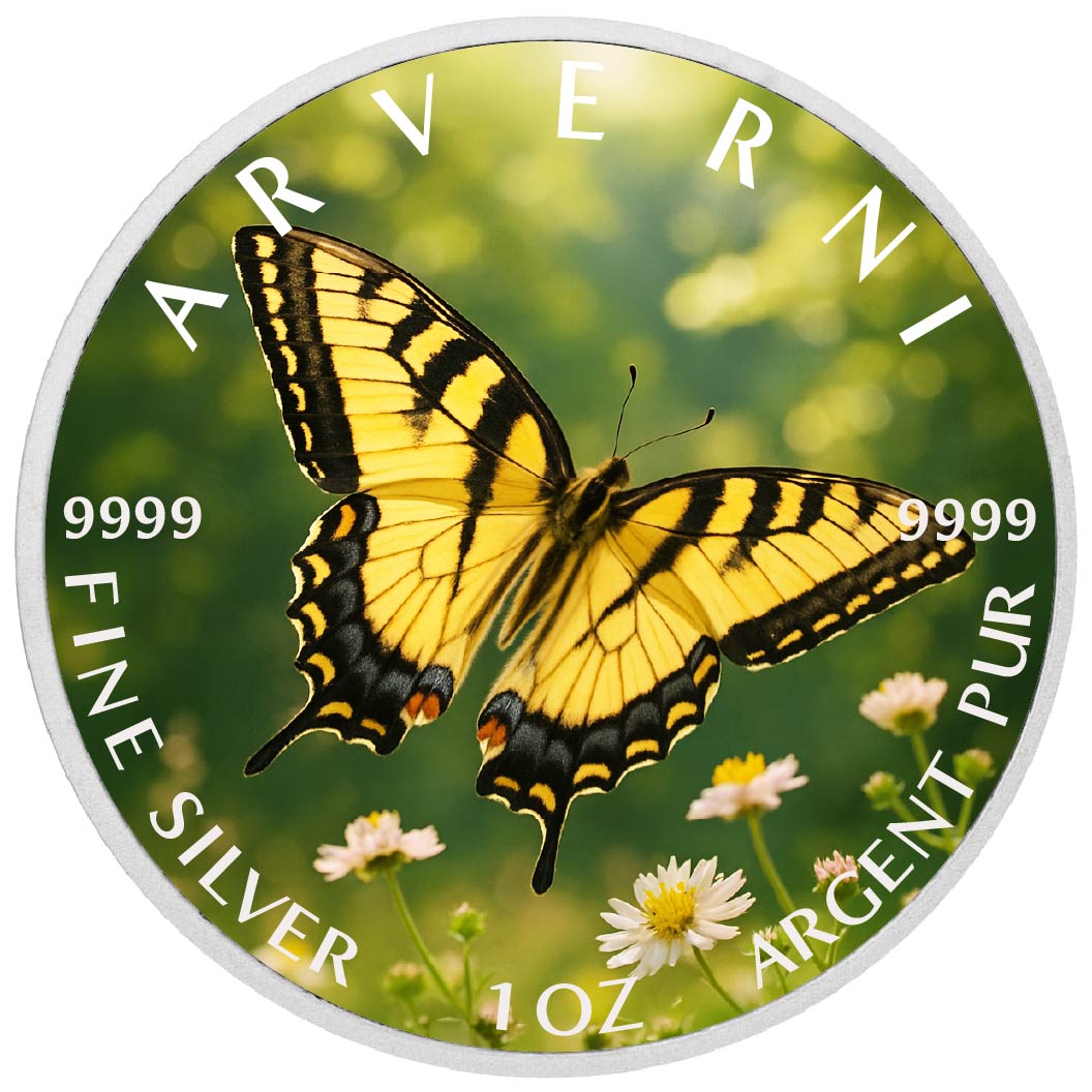 Pièce de monnaie de 1 oz en argent coloré « Ailes dorées de l’été »