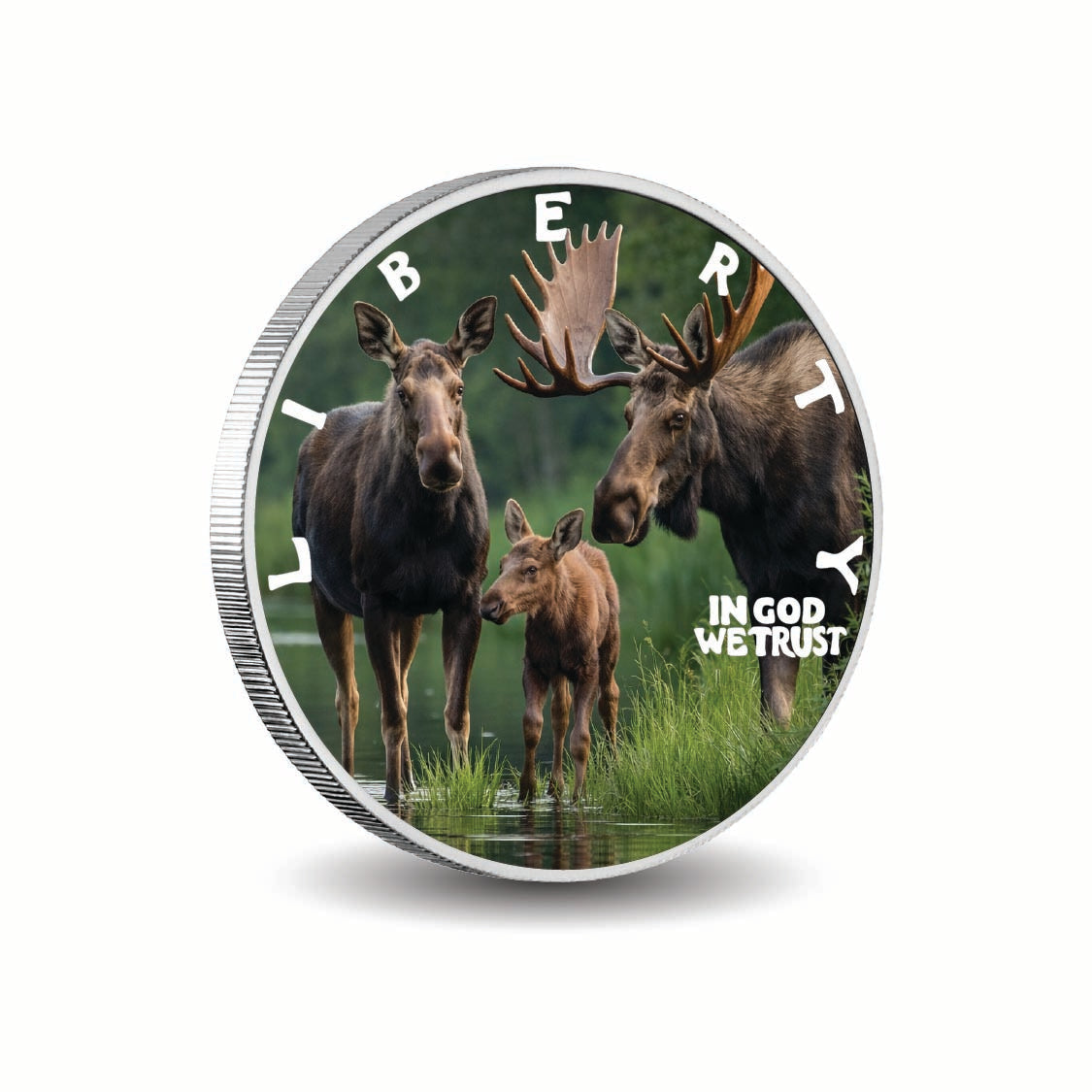 Family by the River 2026 1oz 999 Silver BU Colourized