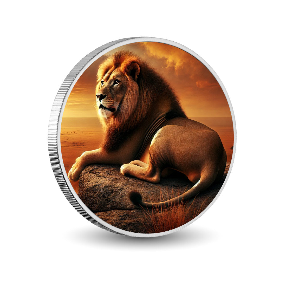 Roi de la savane : le lion au coucher du soleil, pièce colorée