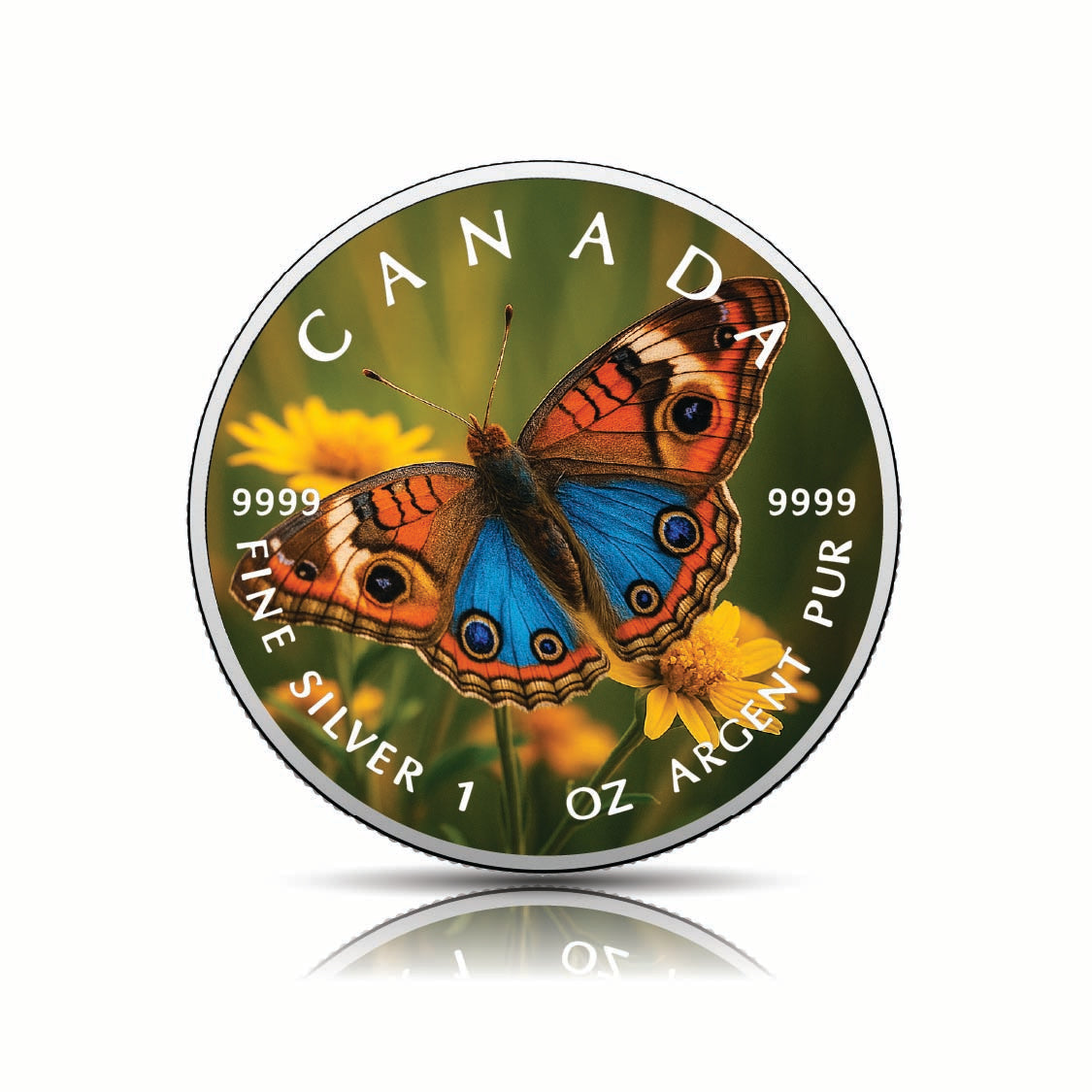 dae78c024863ad4d13433704c2cd260a