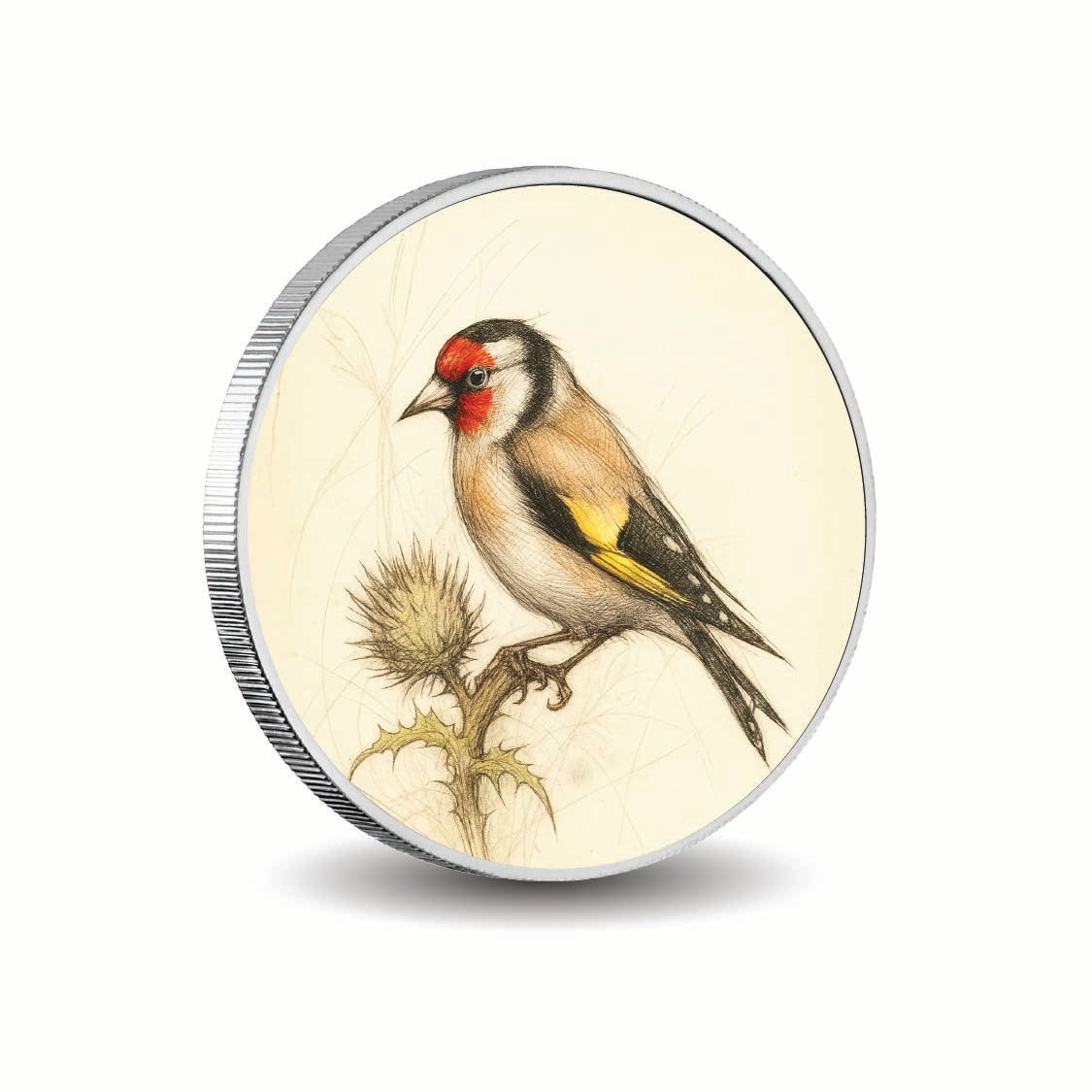 770e481db3e1ac03942e38dfe8d47539