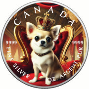 808c86c0947d4e2b03d4b9146cf08f15