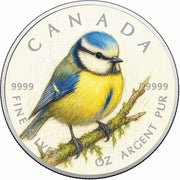 3b8b9bca891ade1773d0220ea610474b