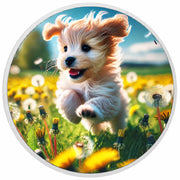 4da50a05da3872760e0fffceeaef6c2e