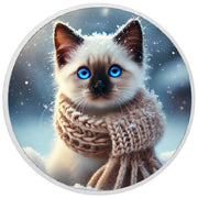 Winter Whiskers: A Frosty Feline Tale 1oz Coin
