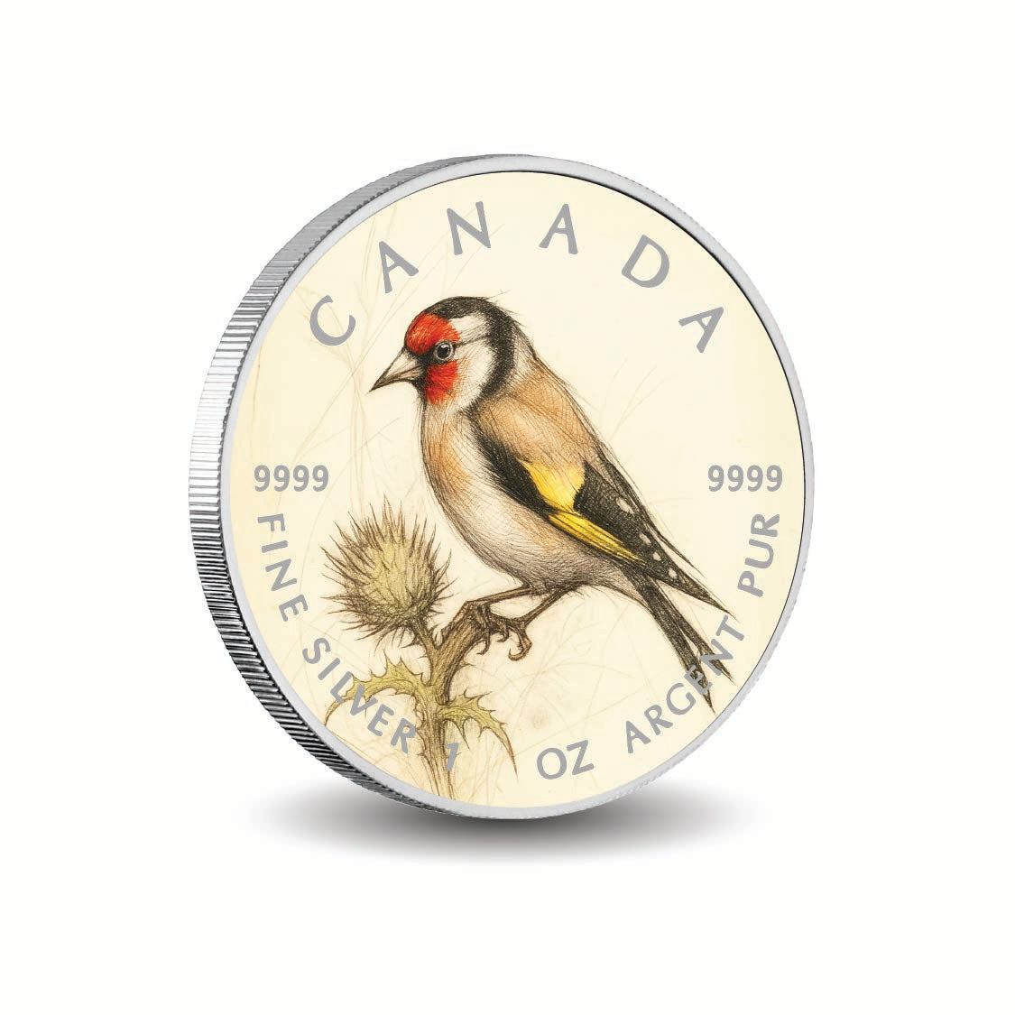 2daab0a488c5c4cdc7f73c81b35da15d