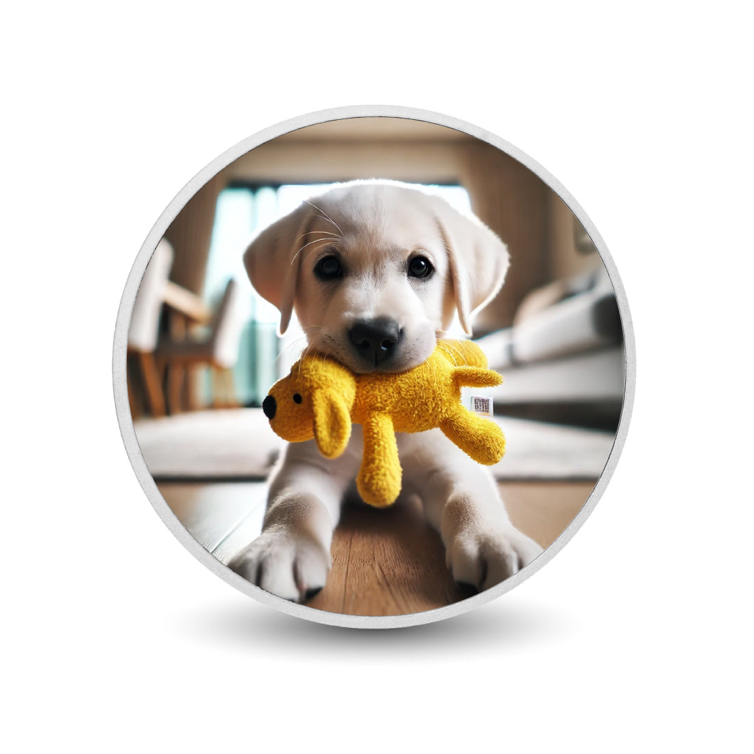 07788493d96563f9aca44963b30fa04e