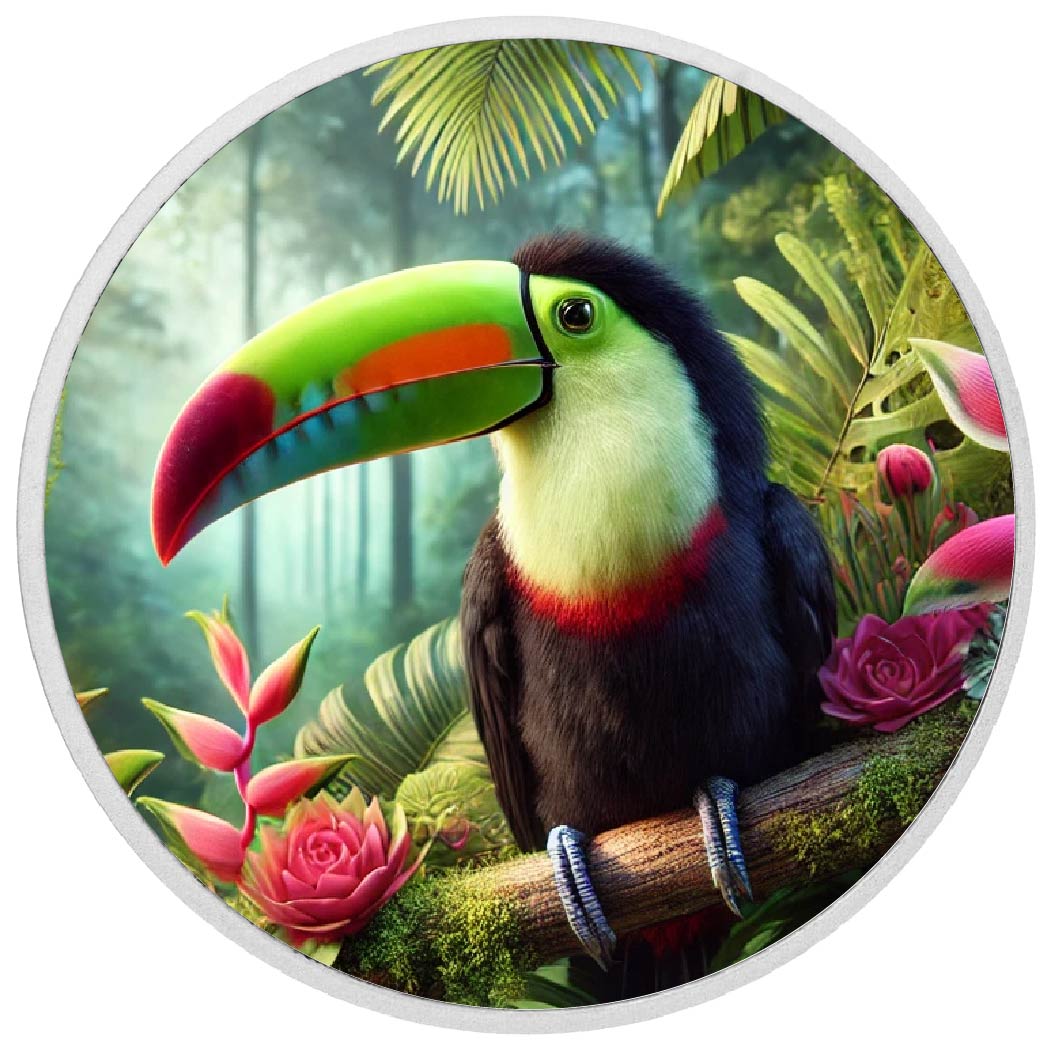Joyau de la forêt tropicale : le toucan éclatant, pièce
