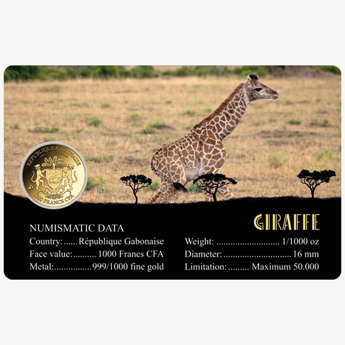 Giraffe999 Fine Gold 1/1000 oz Coin in Card - Arverni Mint