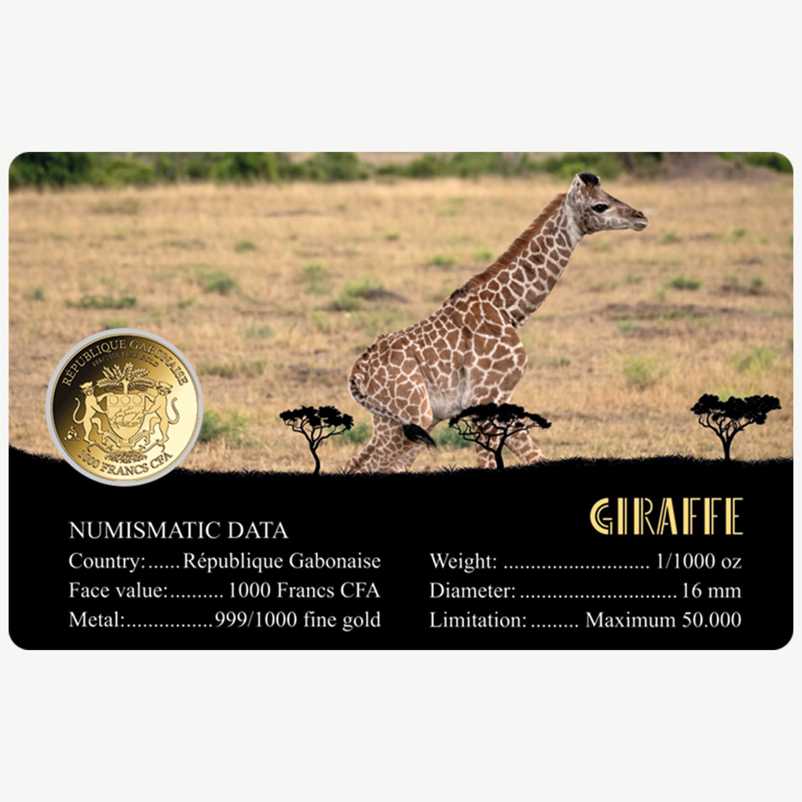 Girafe Pièce en or fin 999 de 1/1000 oz dans une carte