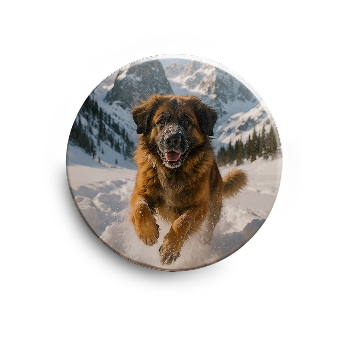 1110dc8ad09c9caf21bfcda2434549b8