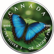 ccb602d5eb7387fead4f64bcf30c55b4