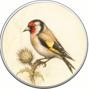 955aa513bdd7cd11e2d340c17da36bbc