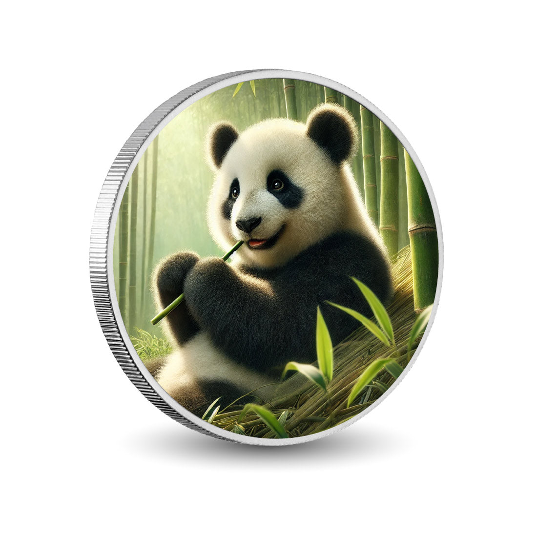 Bonheur de bambou : le panda au paradis, pièce colorée