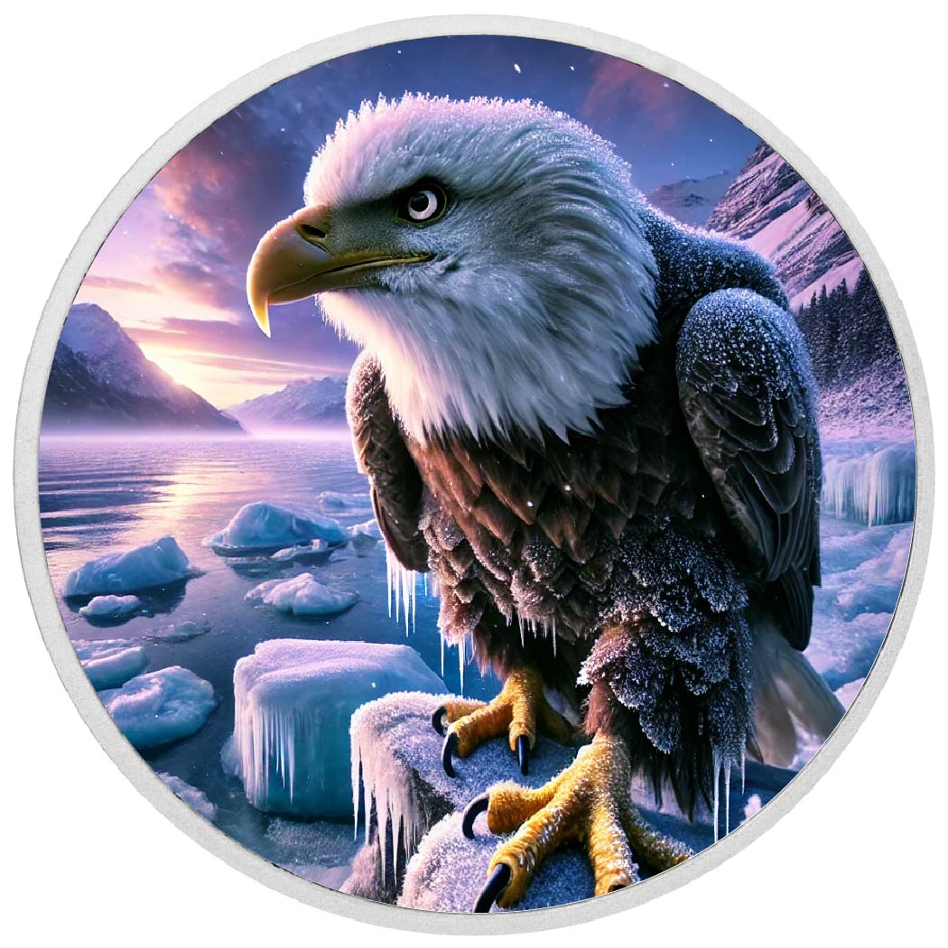 Arctic Majesty: The Frostbound Eagle Coin