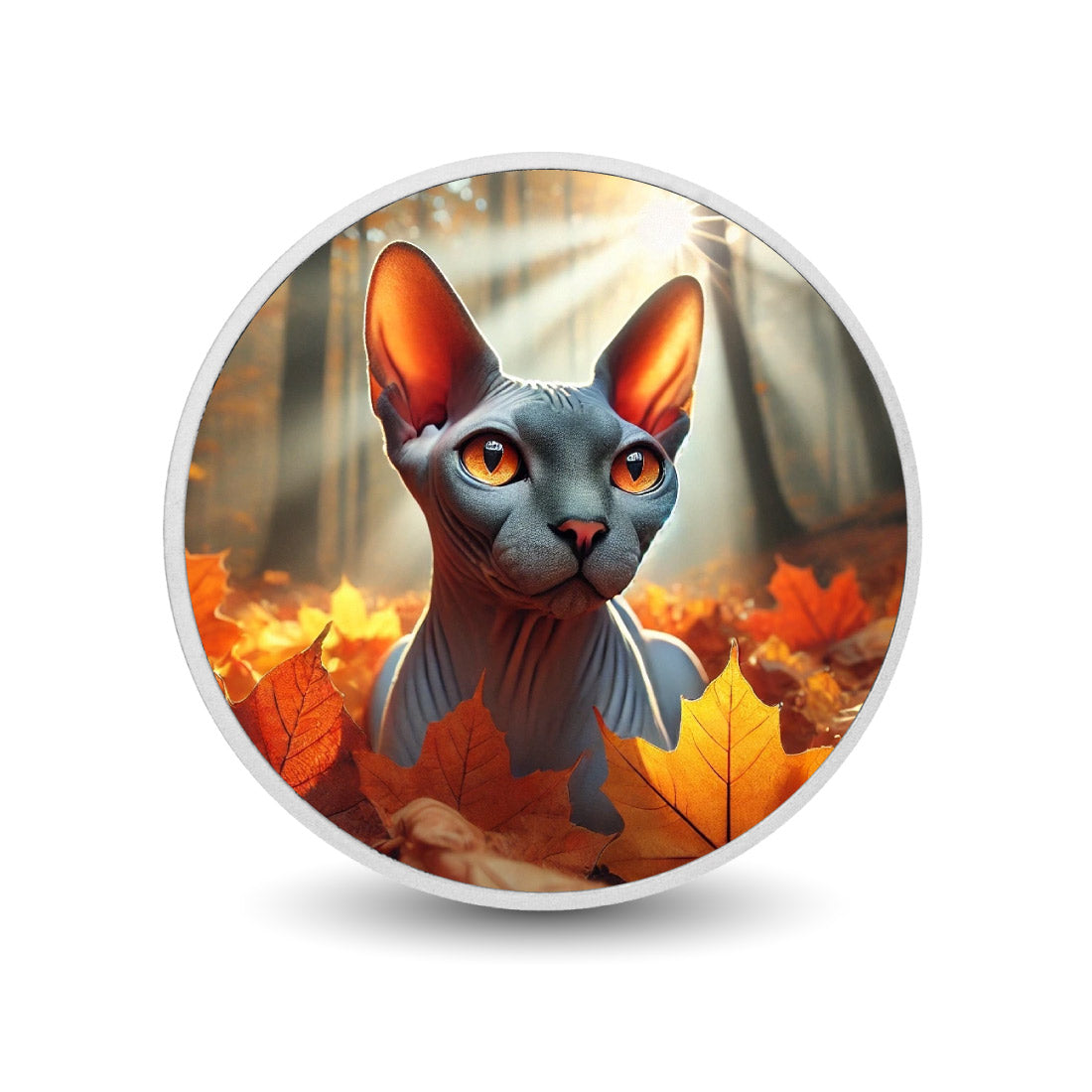 c0ef7dbd76bddec5b3f311bfd3c91716