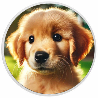 bc1f44d317241435b331402d0d44f74c