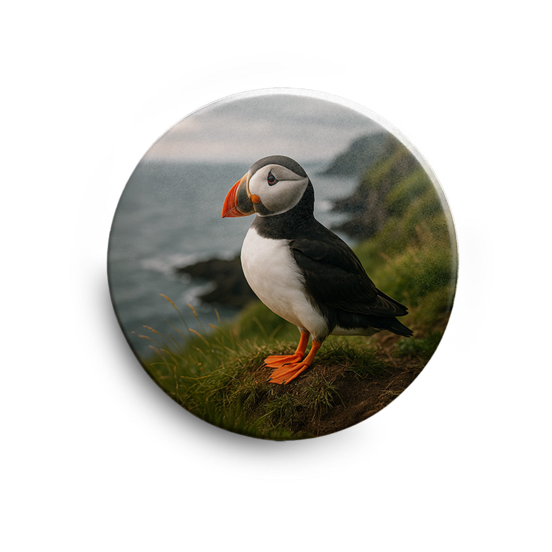 77aa8241bcb8dad9924937a869777f3e