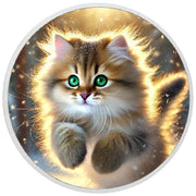 c72088ef9dba64c1f54d33adbd84b2dc