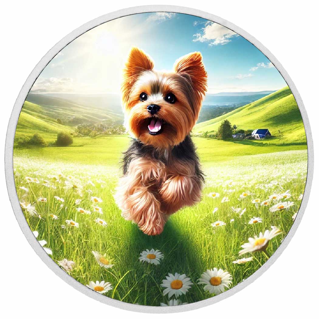 4db1a9ec3371aec0728fdfbd0a3ad467