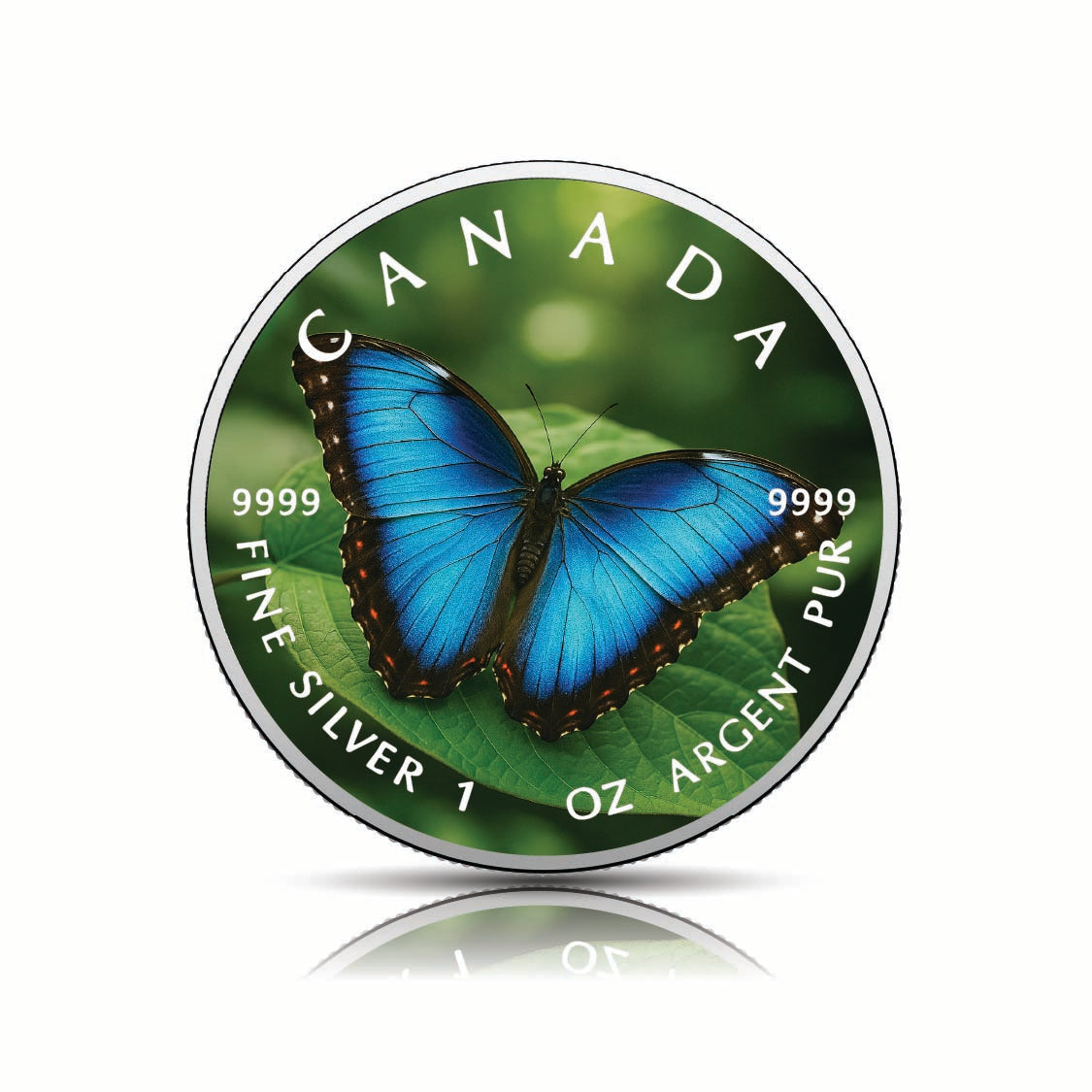 6bab1dcf8eada21234deca96842dfccc