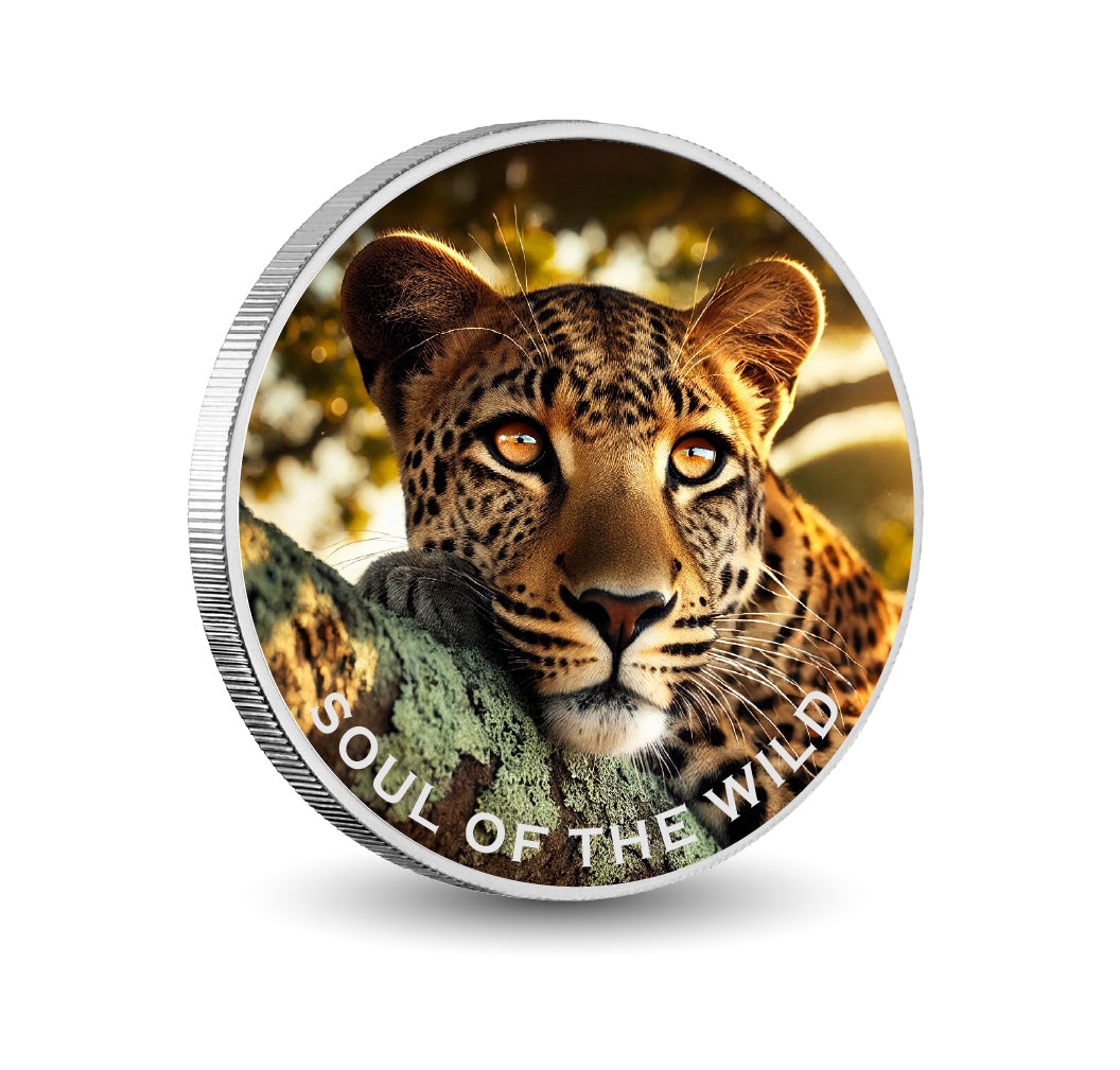 fa0a0e08b6ccdae6be21585b03ef5f50