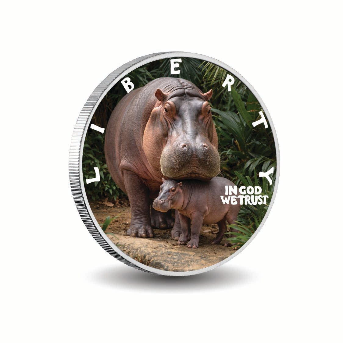 Mama’s Love 2026 1oz 999 Silver BU Colourized