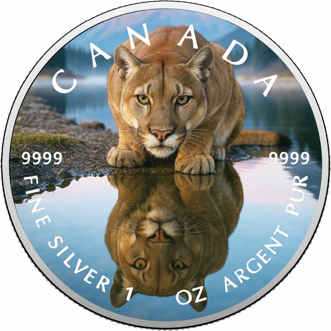 28322d33adecd29912c27dafcc94b238