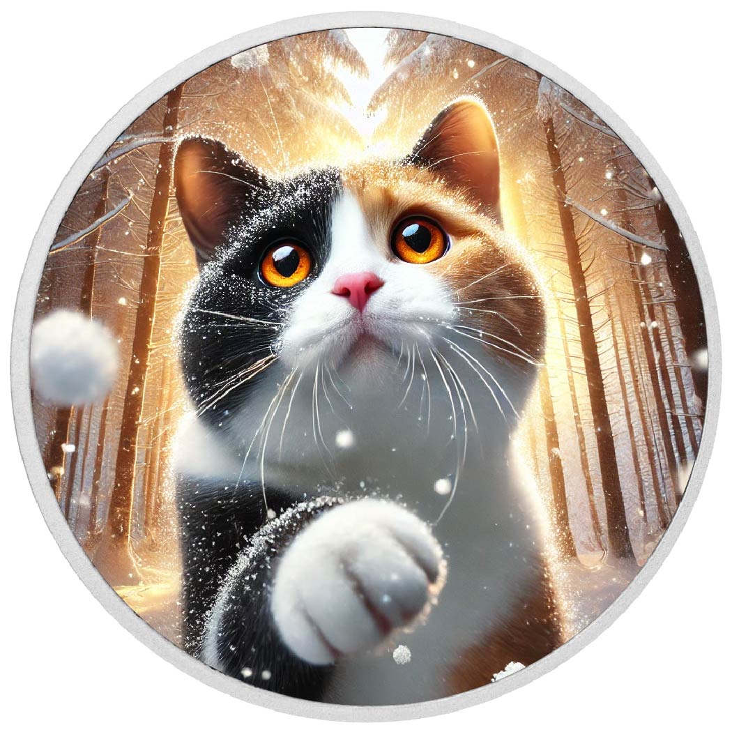 53e76d977115bce73662551ea1687a3a