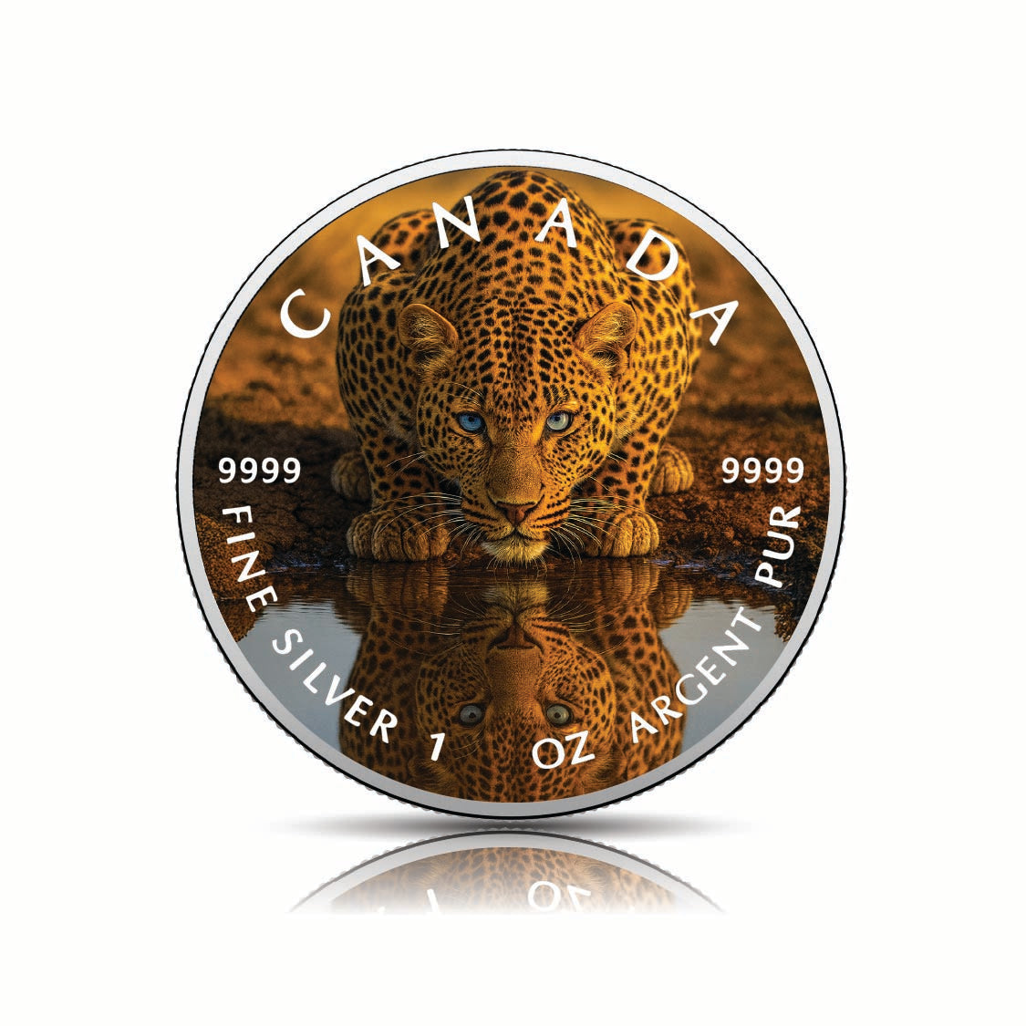 0593fb3c469ef7a9fe65671b1297ee59