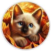 Regard automnal : le regard enchanteur de l’automne, pièce de 1 oz