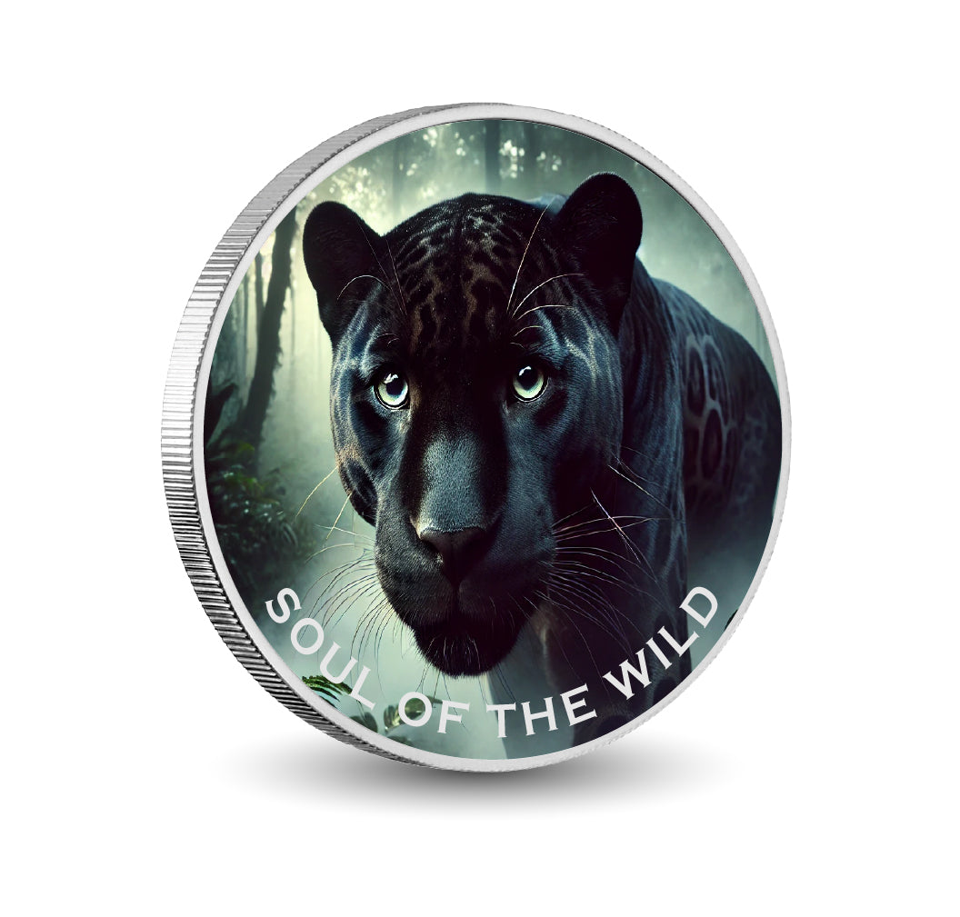 09dd62d944f21e320d152b032d3bbb64