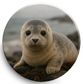 8774da7f6bf3ae6731ff906a48e83d01