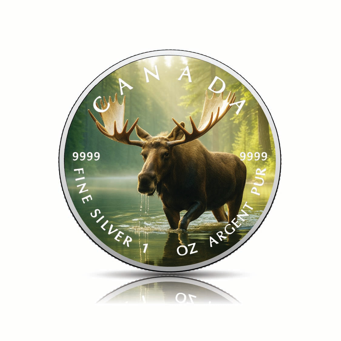 e4a70f14db486a2d9212d1e5ceb937cc