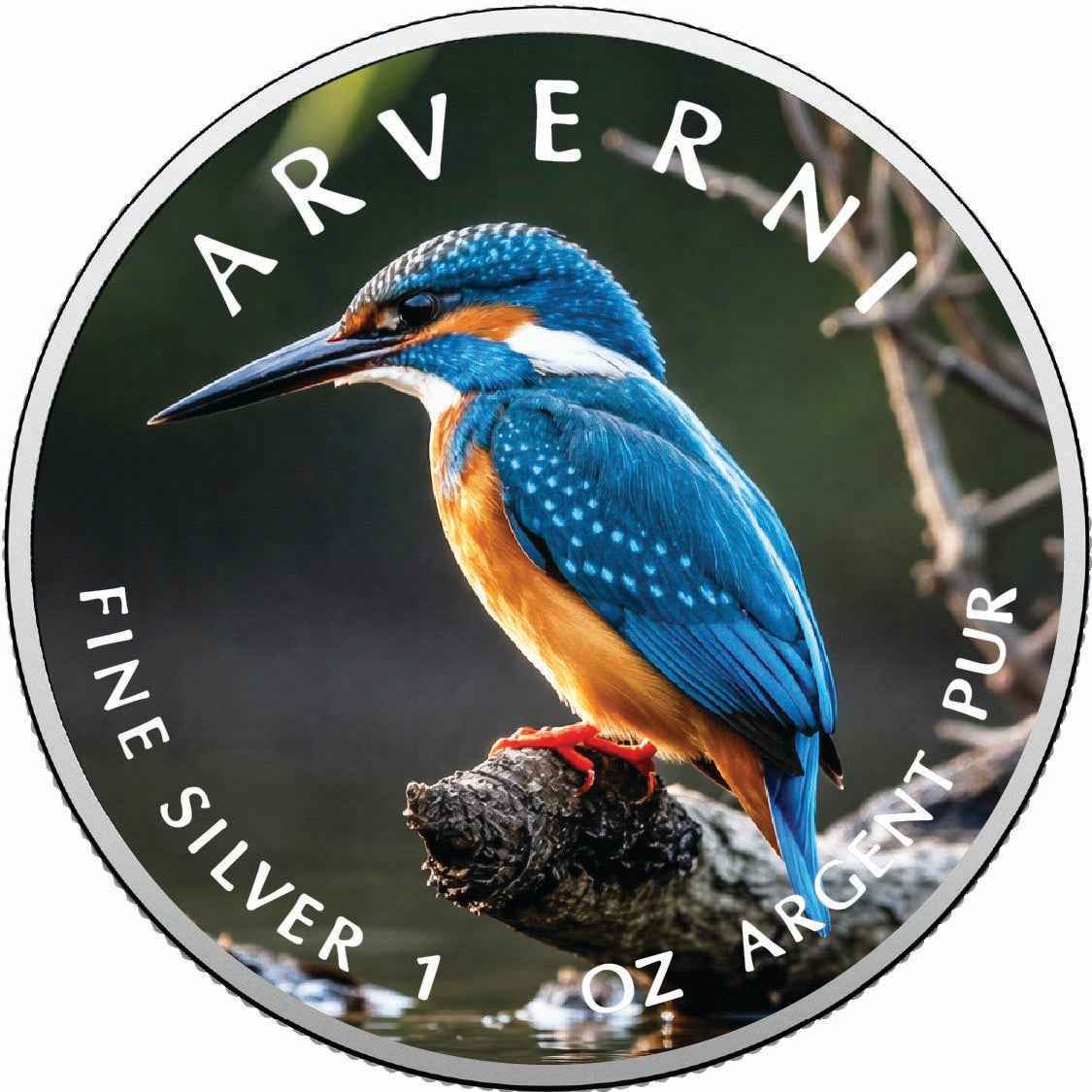 Flash of Blue  2026 American Silver Eagle 1oz 999 Fine Silver BU Colorized Coin