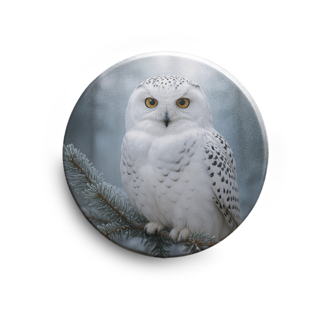 ab090d6f6a8c52ba67ef55d9defe8597