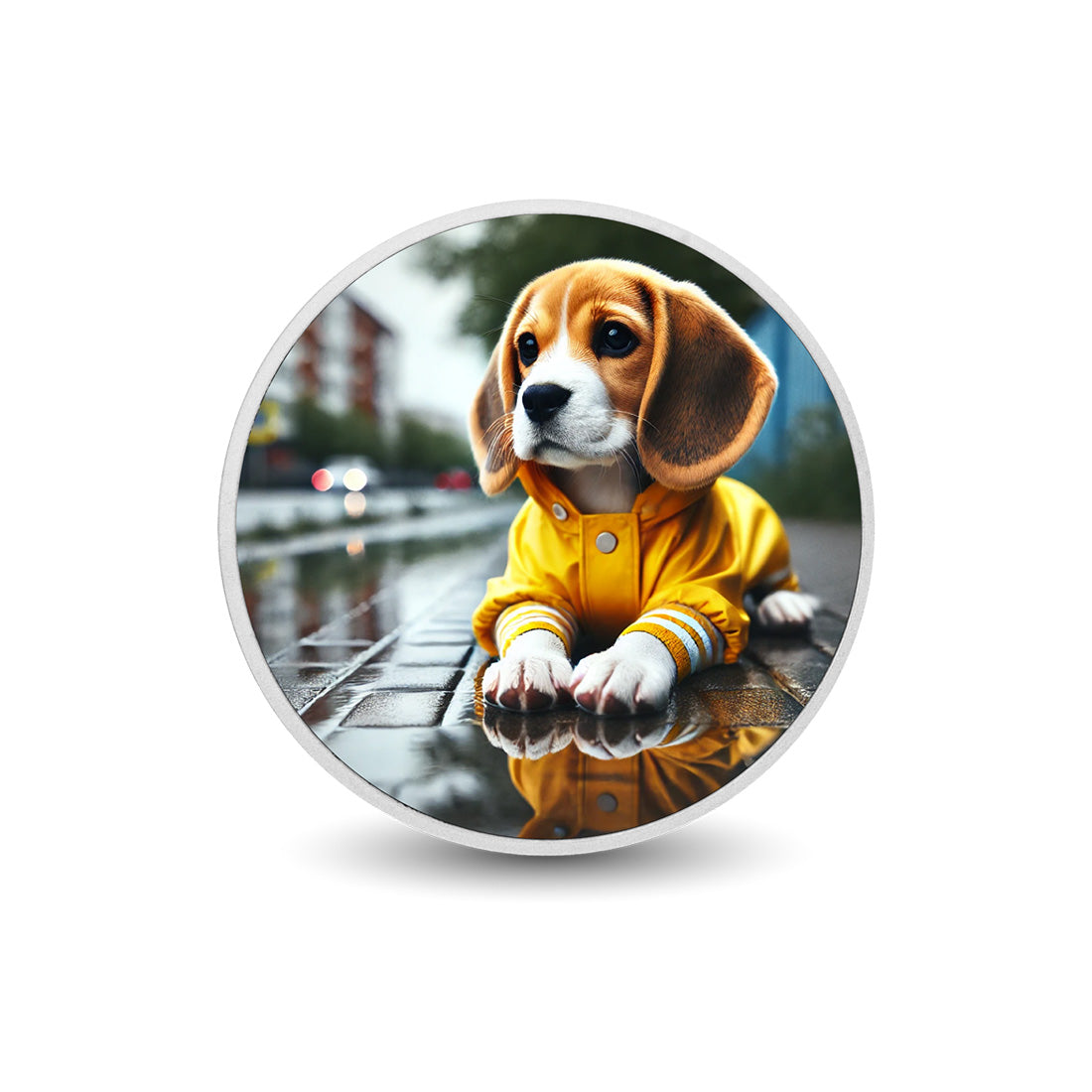 Rainy Day Explorer 1oz Silver Coloured Coin - Arverni Mint