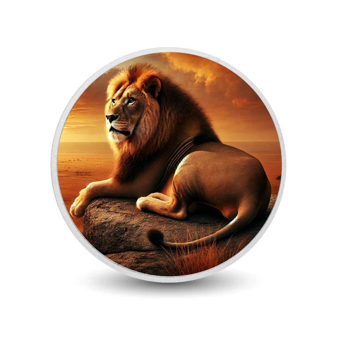 Roi de la savane : le lion au coucher du soleil, pièce colorée