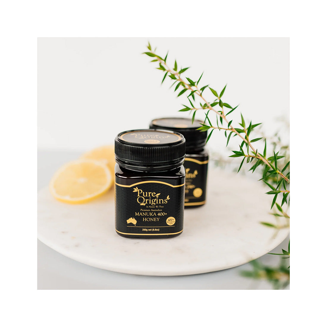 98fb2a78aac4a5fb83e9879124534e23