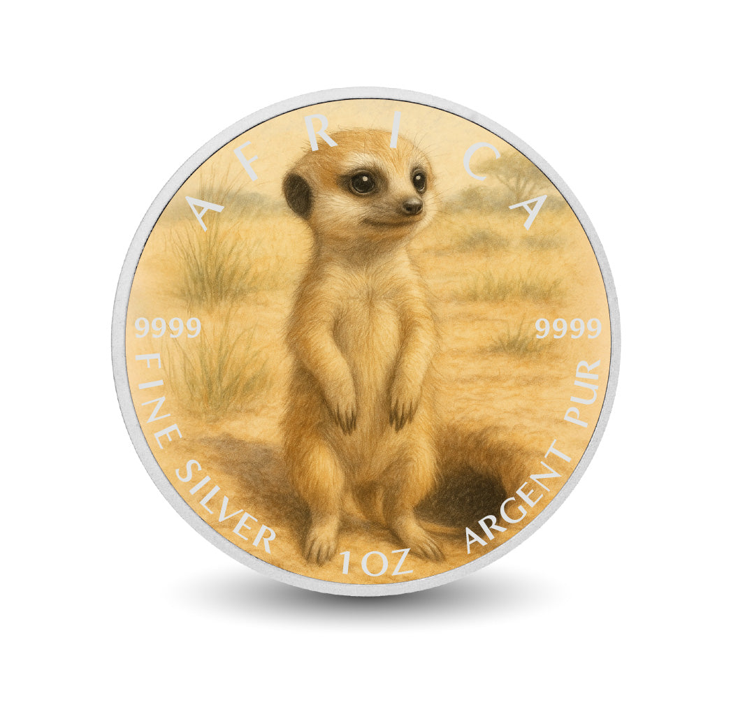 Pièce de monnaie de 1 oz en argent fin coloré « Sentinelle du désert : le suricate curieux d’Afrique »