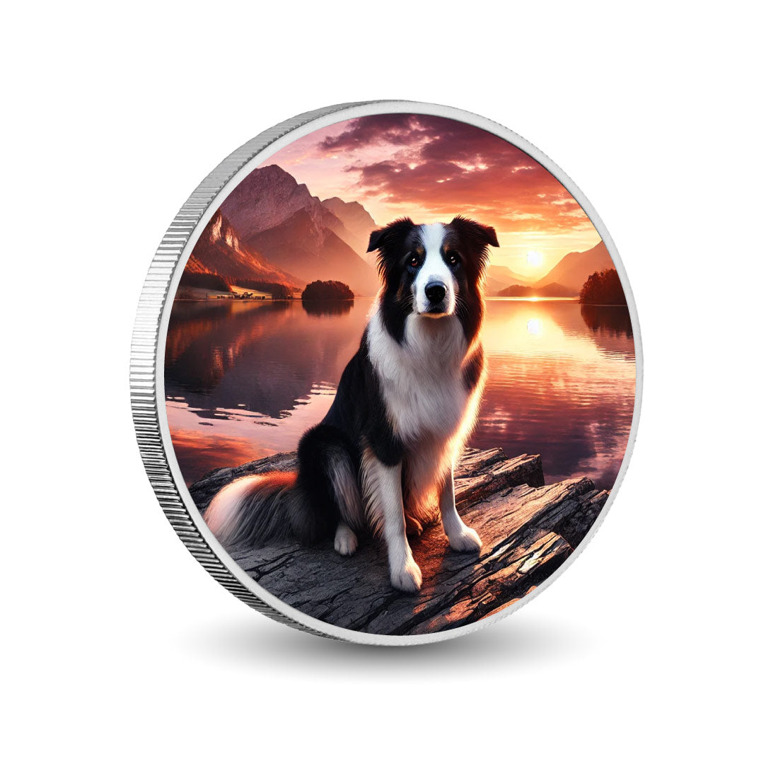 Compagnon serein : le border collie au coucher du soleil, pièce de 1oz