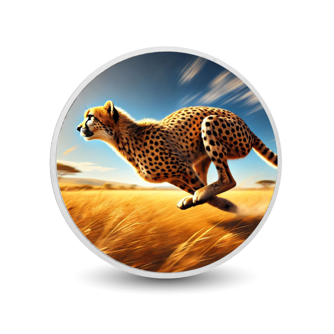 2c2ab52015ac244e09067706cdd68423