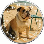 54192b137db5b21e05840e7db7bcf74b