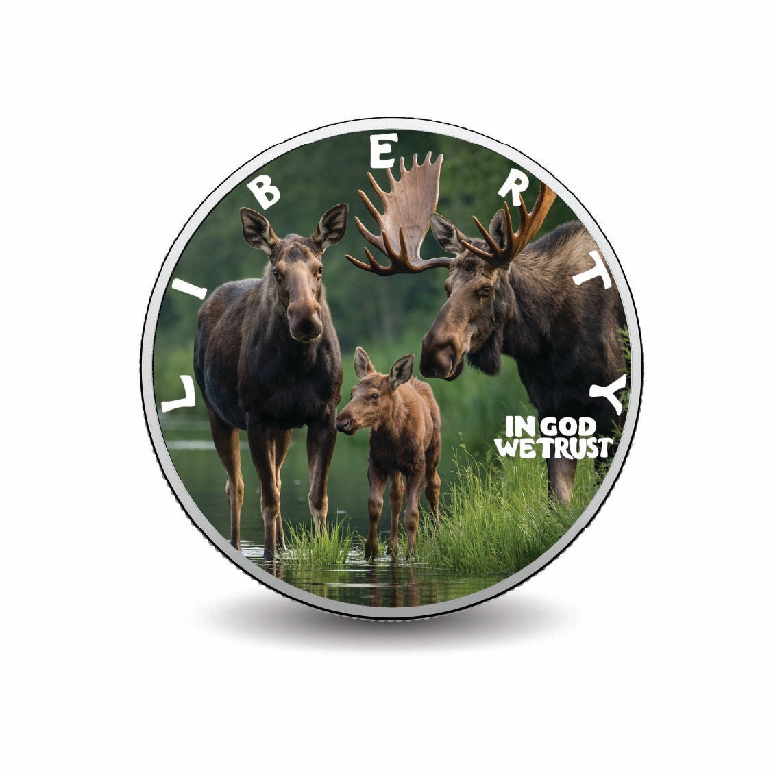 Family by the River 2026 1oz 999 Silver BU Colourized