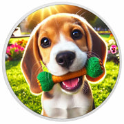 Fetch and Sunshine 1oz Silver Coloured Coin - Arverni Mint