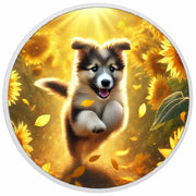 6ee451020a71c842b0be5c065cbe36b6