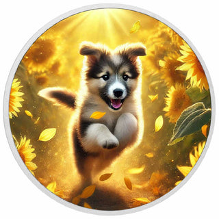 6ee451020a71c842b0be5c065cbe36b6